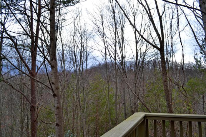 Lost In Love Gatlinburg Dış mekan fotoğraf